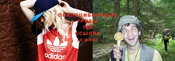 винт Верхний Тагил